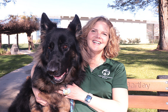 Diane Gittlen, Marketing Director