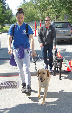 graduate, guide dog, tony, ted