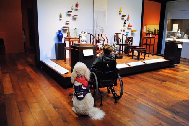 How an Autism Service Dog Unites the Whole Family Unit ...