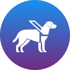 seeing eye dogs for sale