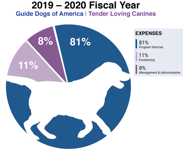 Guide Dog Services 2025