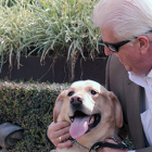 guide dog