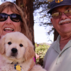 golden puppy raiser