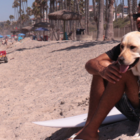 surfer, rabelo