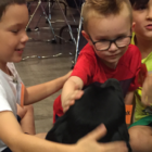 puppies, children