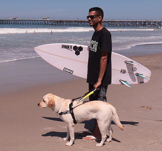 surfer, rabelo