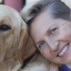 yellow lab veteran