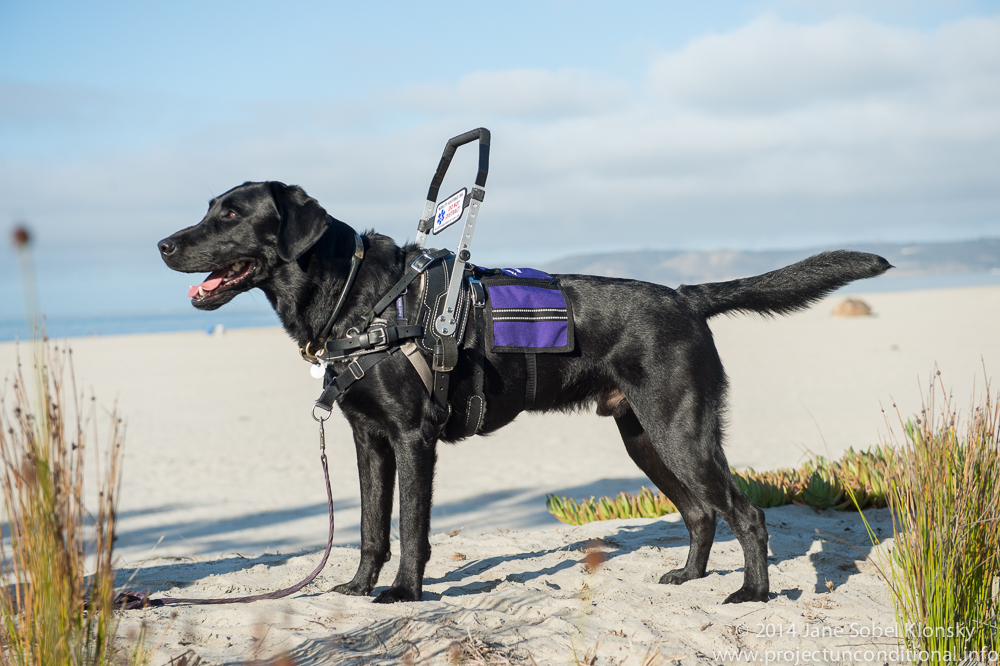 20140926_SD_TLCAD_KimGottshall_Murphy_025