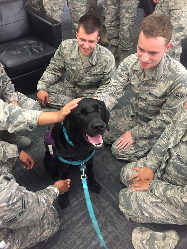 Click here to learn about Preston, the United States Air Force's first ADI certified Courthouse Facility Dog Team