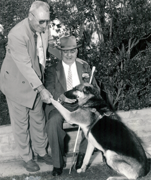 2 men, dog, guide dog
