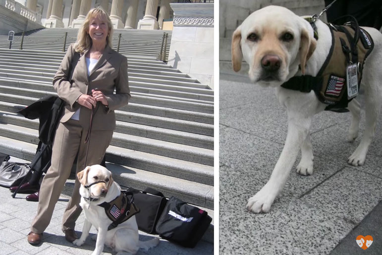 woman, dog, ptsd