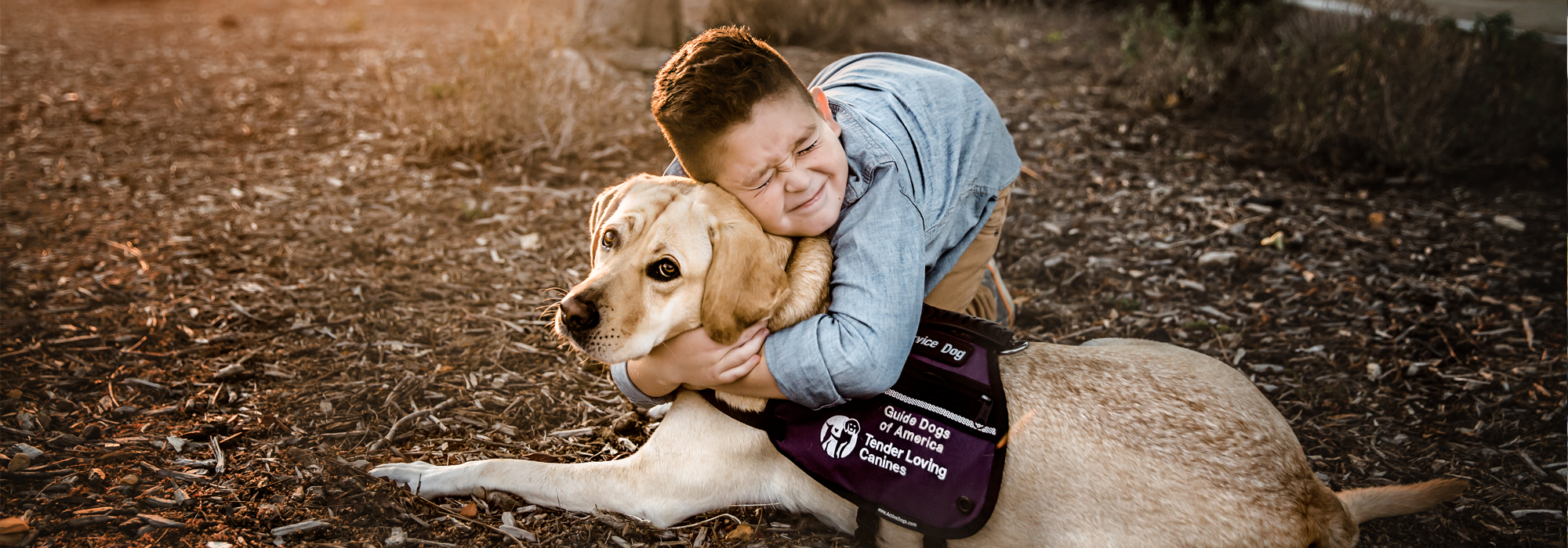 boy, yellow lab, service dog, autism