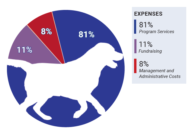 pie chart of annual report figures