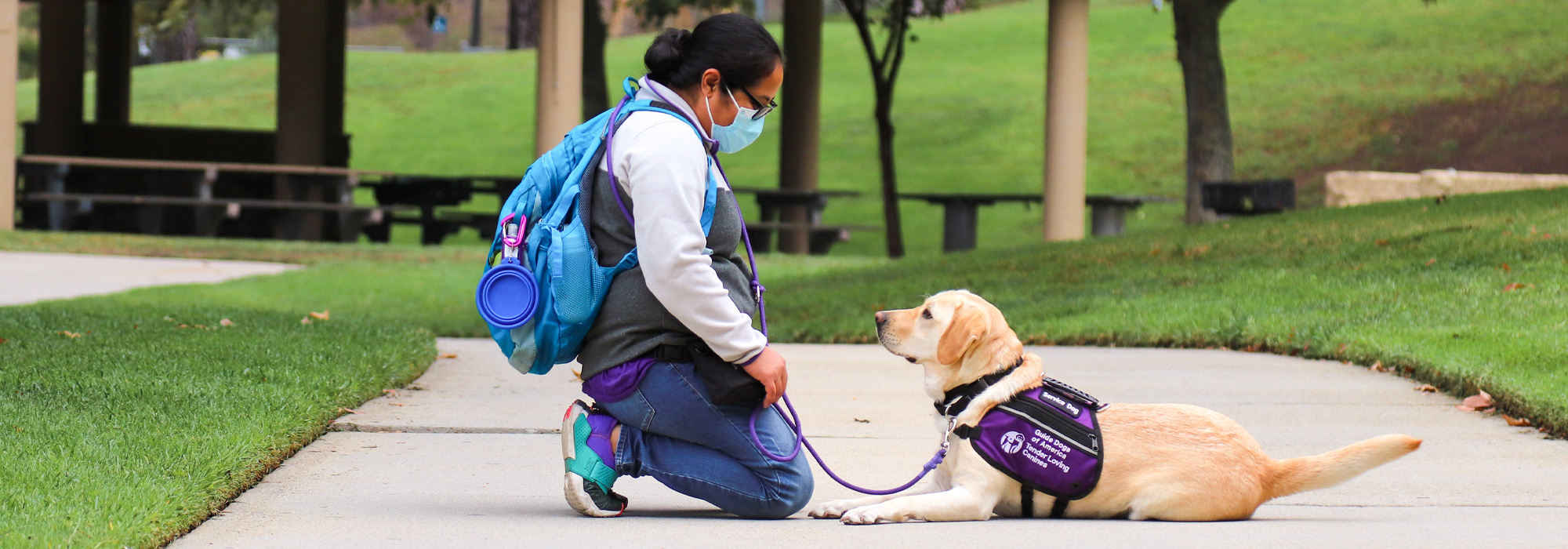 woman, kneeling, service dog, yellow lab, vest