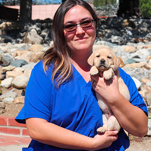 Headshot of Christine Claes holding a Yellow Lab puppy.