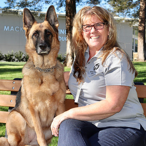 woman, german shepherd