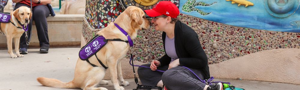 woman, yellow lab, red cap, greeting