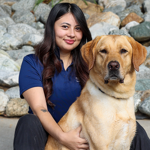 woman, yellow lab,