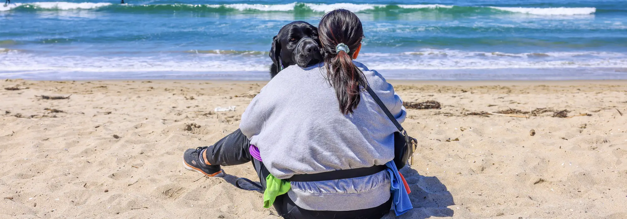 woman, dog, ocean, sand