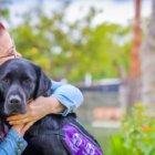 Woman hugging service dog