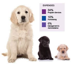 Labrador Puppies, Expenses 84% program services, 10% fundraising, 6% management and administrative