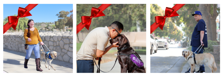 Woman walking with guide dog, man kissing his service dog, man waiting at the curb with his service dog