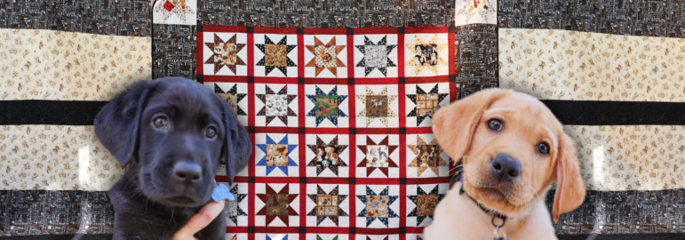 2025 Quilt