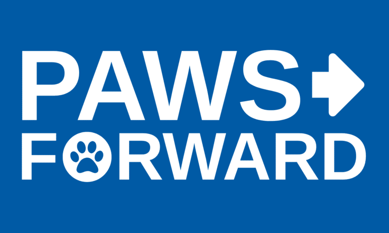 Paws Forward