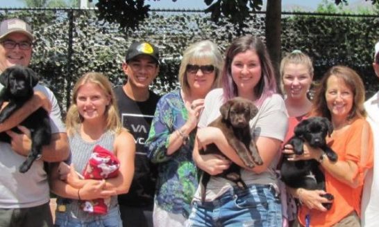 puppy raisers, puppies