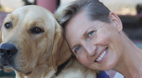 yellow lab veteran