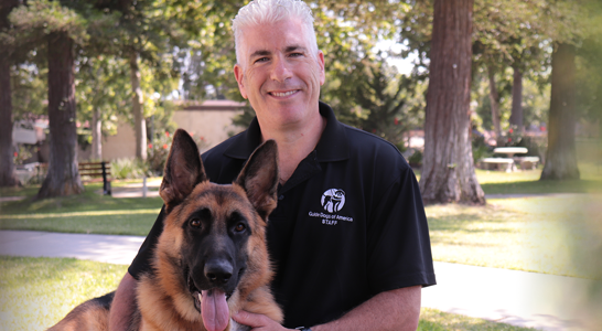 Man, german shepherd
