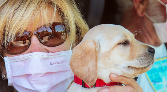 woman, mask, puppy