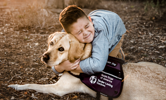 boy, yellow lab, service dog, autism