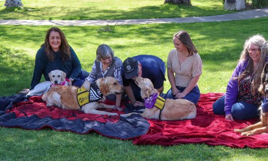 A group of people and dogs sit for a picnic