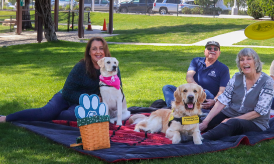 picnic, whatever, 3 dogs, 4 people