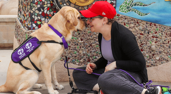 woman, yellow lab, red cap, greeting