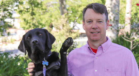 black lab, man, outside