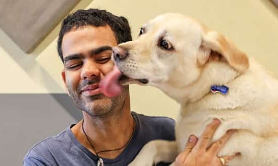 Derek crouches down and his yellow Lab guide dog, Serenity, jumps up for a kiss.