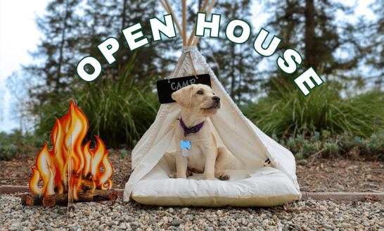 A cute, yellow labrador puppy sits inside of a small, white, tepee-style tent. There is a sign on the tent that reads, "Camp." On the left side of the tent there is a faux campfire with orange and yellow flames. Above the tent, the words, "Open House" are displayed in a semi-circle. The background of the image is a natural outdoor setting with trees and a gravel ground.