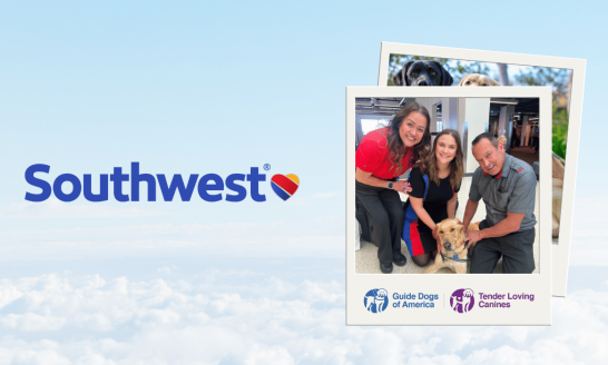 Southwest Logo with some polaroid pics to the right featuring Southwest staff and a GDA | TLC service dog. The background is the sky.